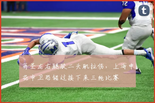 蒋圣龙右腿股二头肌拉伤，上海申花中卫恐错过接下来三轮比赛