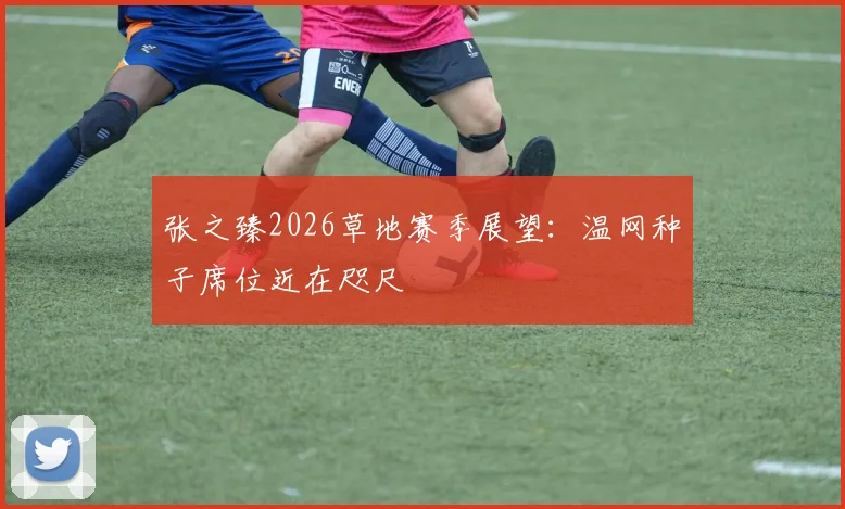 张之臻2026草地赛季展望：温网种子席位近在咫尺